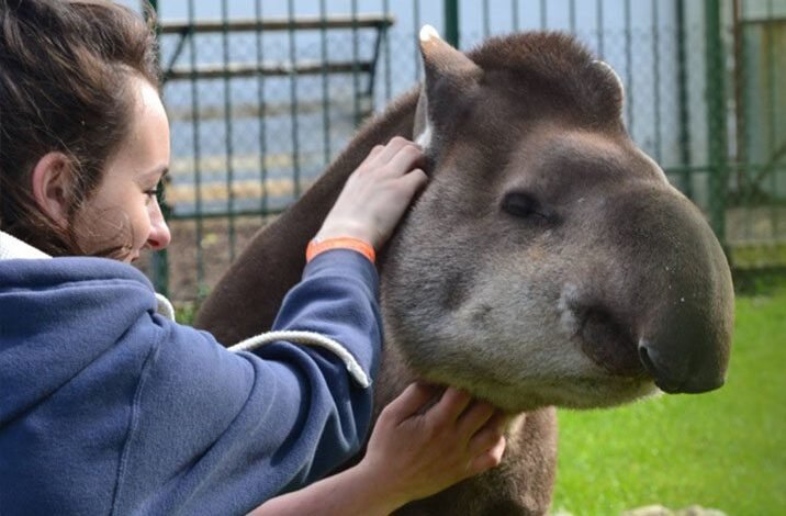 lake district wildlife park tickets