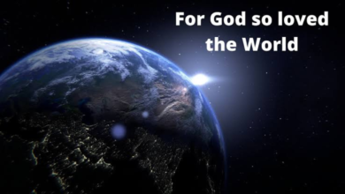 for god so loved the world